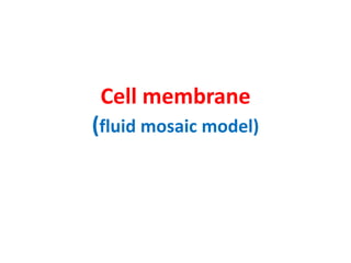 Cell membrane
(fluid mosaic model)
 
