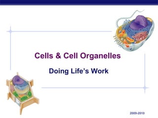 AP Biology 2009-2010
Cells & Cell Organelles
Doing Life’s Work
 