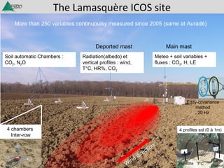 The Lamasquère ICOS site
More than 250 variables continuoulsy measured since 2005 (same at Auradé)
4 profiles sol (0 à 1m)
Radiation(albedo) et
vertical profiles : wind,
T°C, HR%, CO2
Meteo + soil variables +
fluxes : CO2, H, LE
Soil automatic Chambers :
CO2, N2O
Deported mast Main mast
W
ind direction
Eddy-covariance
method
20 Hz
Humidité T°C
Flux de
chaleur
4 chambers
Inter-row
 