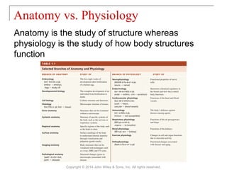 01 [chapter 1 an introduction to the human body] | PPT