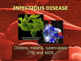 INFECTIOUS DISEASE




Cholera, malaria, tuberculosis
       (TB) and AIDS
                                 ALBIO9700/2006JK
 