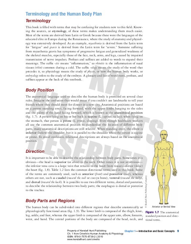 essay example 200 words linking