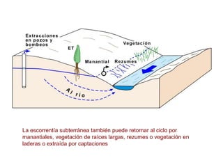 La escorrentía subterránea también puede retornar al ciclo por
manantiales, vegetación de raíces largas, rezumes o vegetación en
laderas o extraída por captaciones
 