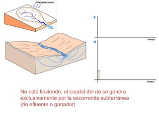 No está lloviendo, el caudal del río se genera
exclusivamente por la escorrentía subterránea
(río efluente o ganador)
 