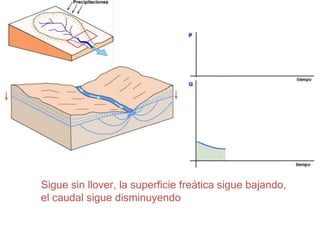 Sigue sin llover, la superficie freática sigue bajando,
el caudal sigue disminuyendo
 