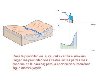 Cesa la precipitación, el caudal alcanza el máximo
(llegan las precipitaciones caídas en las partes más
alejadas de la cuenca) pero la aportación subterránea
sigue disminuyendo
 