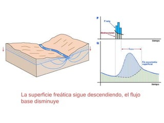 La superficie freática sigue descendiendo, el flujo
base disminuye
 