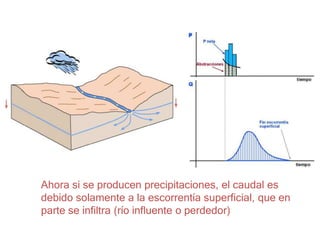 Ahora si se producen precipitaciones, el caudal es
debido solamente a la escorrentía superficial, que en
parte se infiltra (río influente o perdedor)
 