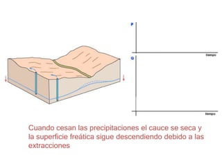 Cuando cesan las precipitaciones el cauce se seca y
la superficie freática sigue descendiendo debido a las
extracciones
 