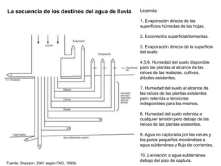 Leyenda:
1. Evaporación directa de las
superficies húmedas de las hojas.
2. Escorrentía superficial/tormentas.
3. Evaporación directa de la superficie
del suelo
4,5,6. Humedad del suelo disponible
para las plantas al alcance de las
raíces de las malezas, cultivos,
árboles existentes.
7. Humedad del suelo al alcance de
las raíces de las plantas existentes
pero retenida a tensiones
indisponibles para los mismos.
8. Humedad del suelo retenida a
cualquier tensión pero debajo de las
raíces de las plantas existentes.
9. Agua no capturada por las raíces y
los poros pequeños moviéndose a
agua subterránea y flujo de corrientes.
10. Lixiviación a agua subterránea
debajo del piso de captura.
Fuente: Shaxson, 2001 según FAO, 1995b
La secuencia de los destinos del agua de lluvia
 