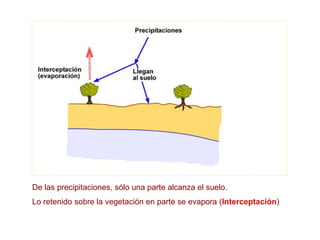 De las precipitaciones, sólo una parte alcanza el suelo.
Lo retenido sobre la vegetación en parte se evapora (Interceptación)
 