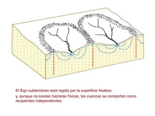 El flujo subterráneo está regido por la superficie freática
y, aunque no existan barreras físicas, las cuencas se comportan como
recipientes independientes
 