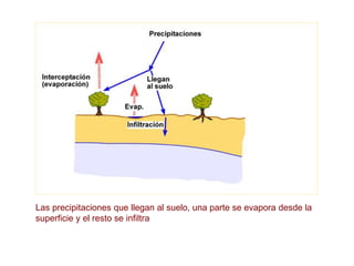 Las precipitaciones que llegan al suelo, una parte se evapora desde la
superficie y el resto se infiltra
 