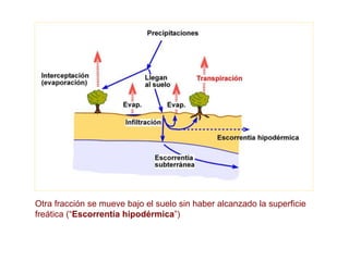 Otra fracción se mueve bajo el suelo sin haber alcanzado la superficie
freática (“Escorrentía hipodérmica”)
 