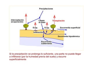 Si la precipitación se prolonga lo suficiente, una parte no puede llegar
a infiltrarse (por la humedad previa del suelo) y escurre
superficialmente
 