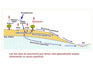 Los tres tipos de escorrentía que hemos visto generalmente acaban
alimentando un cauce superficial
 