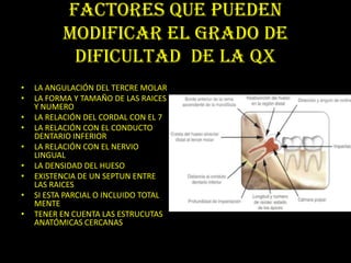 FACTORES QUE PUEDEN
          MODIFICAR EL GRADO DE
           DIFICULTAD DE LA QX
•   LA ANGULACIÓN DEL TERCRE MOLAR
•   LA FORMA Y TAMAÑO DE LAS RAICES
    Y NUMERO
•   LA RELACIÓN DEL CORDAL CON EL 7
•   LA RELACIÓN CON EL CONDUCTO
    DENTARIO INFERIOR
•   LA RELACIÓN CON EL NERVIO
    LINGUAL
•   LA DENSIDAD DEL HUESO
•   EXISTENCIA DE UN SEPTUN ENTRE
    LAS RAICES
•   SI ESTA PARCIAL O INCLUIDO TOTAL
    MENTE
•   TENER EN CUENTA LAS ESTRUCUTAS
    ANATÓMICAS CERCANAS
 