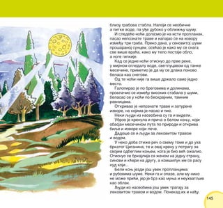 145145
blizu grabova stabla. Napoji se neobi~ne
a pitke vode, pa u|e duboko u obli`wu {umu.
I slede}e no}i dolazio je na isti proplanak,
pasao nepoznate trave i napajao se na izvoru
izme|u tri graba. Preko dana, u senovitoj {umi
pro{aranoj suncem, ose}ao je kako mu se snaga
sve vi{e vra}a, kako mu telo postaje oblo,
a noge gipkije.
Kad se jedne no}i otisnuo do prve reke,
u mirnom ogledalu vode, svetlucavom od tanke
mese~ine, primetio je da mu se dlaka ponovo
belasa kao snegovi.
Od te no}i nije ga vi{e dr`alo samo jedno
mesto.
Galopirao je po bregovima i dolinama,
provla~io se izme|u visokih stabala u {umi,
belasao se u no}i po beskrajnim, tamnim
ravnicama.
Otkrivao je nepoznate trave i zaturene
izvore, na kojima je pasao i pio.
Neki qudi iz naseobina su ga i videli.
Ubrzo je krenula i pri~a o belom kowu, koji
obasjan mese~inom luta po prirodi i otkriva
biqe i izvore koji le~e.
Dado{e se i qudi za lekovitom travom
i vodom.
U neko doba sti`e re~ o svemu tome i do uha
brkatog Ciganina, te i ovaj krenu u potragu za
svojim odbeglim kowem, koga je bio ve} o`alio.
Otisnuo se brkajlija sa `enom na jednu stranu,
sinovi i k}eri na drugu, a kom{iluk im se rasu
kud koji...
Beli kow jezdi jo{ uvek proplancima
i rubovima {ume. Neki ga i opaze, ali mu niko
ne mo`e pri}i, jer je brz kao muwa i neuhvatqiv
kao oblak.
Qudi iz naseobina jo{ uvek tragaju za
lekovitom travom i vodom. Ponekad ih i na|u.
 