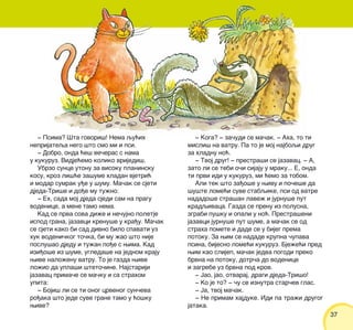 3737
‡ Psima? [ta govori{! Nema qu}ih
neprijateqa nego {to smo mi i psi.
‡ Dobro, onda }e{ ve~eras s nama
u kukuruz. Vidje}emo koliko vrijedi{.
Ubrzo sunce utonu za visoku planinsku
kosu, kroz li{}e za{ume hladan vjetri}
i modar sumrak u|e u {umu. Ma~ak se sjeti
djeda-Tri{e i do|e mu tu`no:
‡ Eh, sada moj djeda sjedi sam na pragu
vodenice, a mene tamo nema.
Kad se prva sova di`e i ne~ujno poletje
ispod grana, jazavci krenu{e u kra|u. Ma~ak
se sjeti kako bi sad divno bilo spavati uz
huk vodeni~kog to~ka, bi mu `ao {to nije
poslu{ao djedu i tu`an po|e s wima. Kad
izi|o{e iz {ume, ugleda{e na jednom kraju
wive nalo`enu vatru. To je gazda wive
lo`io da upla{i {teto~ine. Najstariji
jazavac prima~e se ma~ku i sa strahom
upita:
‡ Boji{ li se ti onog crvenog sun~eva
ro|aka {to jede suve grane tamo u }o{ku
wive?
‡ Koga? ‡ za~udi se ma~ak. ‡ Aha, to ti
misli{ na vatru. Pa to je moj najboqi drug
za hladnu no}.
‡ Tvoj drug! ‡ prestra{i se jazavac. ‡ A,
zato li se tebi o~i sijaju u mraku... E, onda
ti prvi idi u kukuruz, mi }emo za tobom.
Ali tek {to za|o{e u wivu i po~e{e da
{u{te lome}i suve stabqike, psi od vatre
nadado{e stra{an lave` i jurnu{e put
kradqivaca. Gazda se prenu iz polusna,
zgrabi pu{ku i opali u no}. Prestra{eni
jazavci jurnu{e put {ume, a ma~ak se od
straha pomete i dade se u bijeg prema
potoku. Za wim se nadade krupna ~upava
psina, bijesno lome}i kukuruz. Bje`e}i pred
wim kao slijep, ma~ak jedva pogodi preko
brvna na potoku, dotr~a do vodenice
i zagrebe uz brvna pod krov.
‡ Jao, jao, otvaraj, dragi djeda-Tri{o!
‡ Ko je to? ‡ ~u se iznutra star~ev glas.
‡ Ja, tvoj ma~ak.
‡ Ne primam hajduke. Idi pa tra`i drugog
jataka.
 