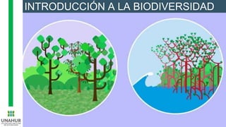 INTRODUCCIÓN A LA BIODIVERSIDAD
 