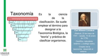 Taxonomía Es la ciencia
de la
clasificación. Se suele
emplear el término para
designar a la
Taxonomía Biológica, la
“teoría” y práctica de
clasificar organismos.
Carl Nilsson Linnæus
(Råshult, 23 de mayo de
1707 - Upsala, 10 de enero
de 1778)
Científico, naturalista,
botánico y zoólogo sueco.
Creador de la
taxonomía. desarrolló el
sistema
de nomenclatura binomial
 