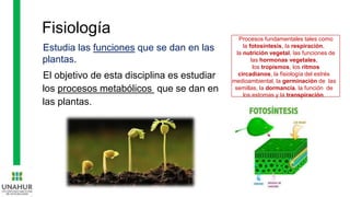 Fisiología
Estudia las funciones que se dan en las
plantas.
El objetivo de esta disciplina es estudiar
los procesos metabólicos que se dan en
las plantas.
Procesos fundamentales tales como
la fotosíntesis, la respiración,
la nutrición vegetal, las funciones de
las hormonas vegetales,
los tropismos, los ritmos
circadianos, la fisiología del estrés
medioambiental, la germinación de las
semillas, la dormancia, la función de
los estomas y la transpiración.
 