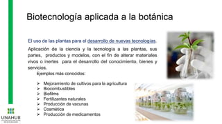 Biotecnología aplicada a la botánica
El uso de las plantas para el desarrollo de nuevas tecnologías.
Aplicación de la ciencia y la tecnología a las plantas, sus
partes, productos y modelos, con el fin de alterar materiales
vivos o inertes para el desarrollo del conocimiento, bienes y
servicios.
Ejemplos más conocidos:
⮚ Mejoramiento de cultivos para la agricultura
⮚ Biocombustibles
⮚ Biofilms
⮚ Fertilizantes naturales
⮚ Producción de vacunas
⮚ Cosmética
⮚ Producción de medicamentos
 