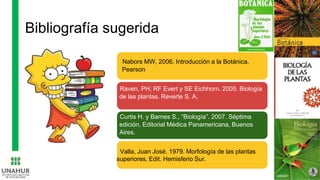 Bibliografía sugerida
Nabors MW, 2006. Introducción a la Botánica.
Pearson
Raven, PH; RF Evert y SE Eichhorn. 2005. Biología
de las plantas. Reverte S. A.
Curtis H. y Barnes S., “Biología”. 2007. Séptima
edición. Editorial Médica Panamericana, Buenos
Aires.
Valla, Juan José. 1979. Morfología de las plantas
superiores. Edit. Hemisferio Sur.
 