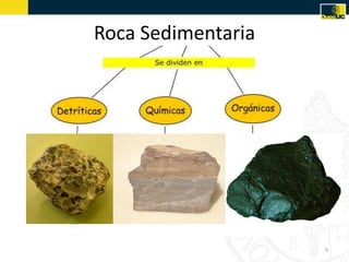 Roca Sedimentaria
9
 