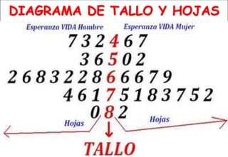 DIAGRAMA DE TALLO Y HOJAS
 