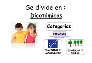 Se divide en :
Dicotómicas
Categorías
EJEMPLOS
FEMENINO Y
MASCULINO
SINGULAR Y
PLURAL
 