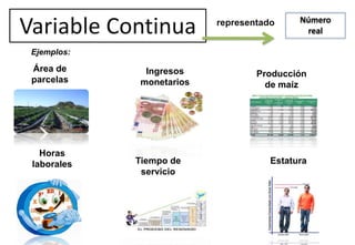 Variable Continua Número
real
representado
Ejemplos:
Área de
parcelas
Ingresos
monetarios
Producción
de maíz
Horas
laborales Tiempo de
servicio
Estatura
 