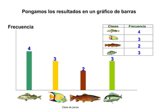 4
3
2
Frecuencia
Clase de peces
Pongamos los resultados en un gráfico de barras
3
4
3
2
3
Clases Frecuencia
3
 