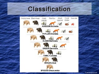 Classification




                 ALBIO9700/2012JK
 