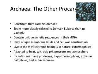 Archaea: The Other Procaryotes
• Constitute third Domain Archaea
• Seem more closely related to Domain Eukarya than to
bacteria
• Contain unique genetic sequences in their rRNA
• Have unique membrane lipids and cell wall construction
• Live in the most extreme habitats in nature, extremophiles
• Adapted to heat, salt, acid pH, pressure and atmosphere
• Includes: methane producers, hyperthermophiles, extreme
halophiles, and sulfur reducers
 