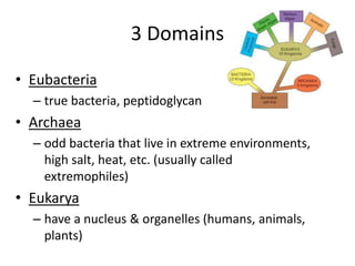 3 Domains
• Eubacteria
– true bacteria, peptidoglycan
• Archaea
– odd bacteria that live in extreme environments,
high salt, heat, etc. (usually called
extremophiles)
• Eukarya
– have a nucleus & organelles (humans, animals,
plants)
 