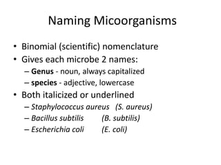 Naming Micoorganisms
• Binomial (scientific) nomenclature
• Gives each microbe 2 names:
– Genus - noun, always capitalized
– species - adjective, lowercase
• Both italicized or underlined
– Staphylococcus aureus (S. aureus)
– Bacillus subtilis (B. subtilis)
– Escherichia coli (E. coli)
 
