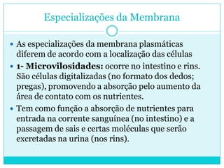 Especializações da Membrana
 As especializações da membrana plasmáticas

diferem de acordo com a localização das células
 1- Microvilosidades: ocorre no intestino e rins.
São células digitalizadas (no formato dos dedos;
pregas), promovendo a absorção pelo aumento da
área de contato com os nutrientes.
 Tem como função a absorção de nutrientes para
entrada na corrente sanguínea (no intestino) e a
passagem de sais e certas moléculas que serão
excretadas na urina (nos rins).

 
