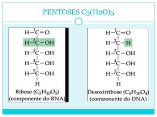 PENTOSES C5(H2O)5

 