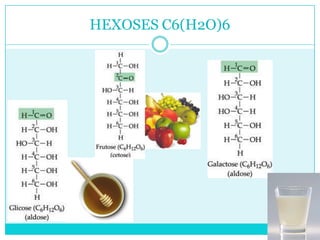 HEXOSES C6(H2O)6

 
