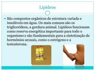 Lipídeos
 São compostos orgânicos de estrutura variada e

insolúveis em água. Os mais comuns são os
triglicerídeos, a gordura animal. Lipídeos funcionam
como reserva energética importante para todo o
organismo e são fundamentais para a sintetização de
hormônios sexuais, como o estrógeno e a
testosterona.

 