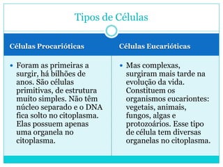 Tipos de Células
Células Procarióticas

Células Eucarióticas

 Foram as primeiras a

 Mas complexas,

surgir, há bilhões de
anos. São células
primitivas, de estrutura
muito simples. Não têm
núcleo separado e o DNA
fica solto no citoplasma.
Elas possuem apenas
uma organela no
citoplasma.

surgiram mais tarde na
evolução da vida.
Constituem os
organismos eucariontes:
vegetais, animais,
fungos, algas e
protozoários. Esse tipo
de célula tem diversas
organelas no citoplasma.

 
