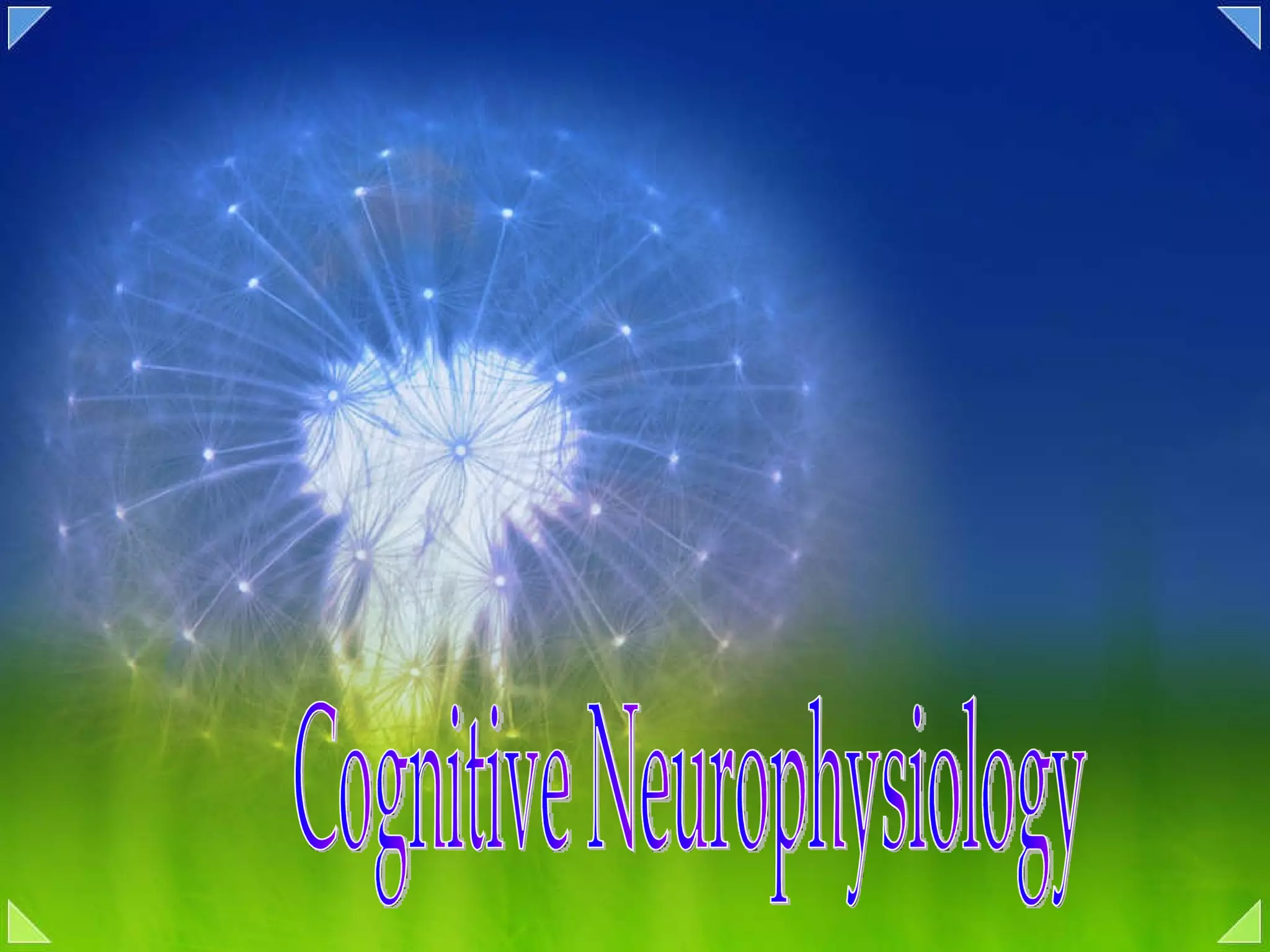 Cognitive Neurophysiology  