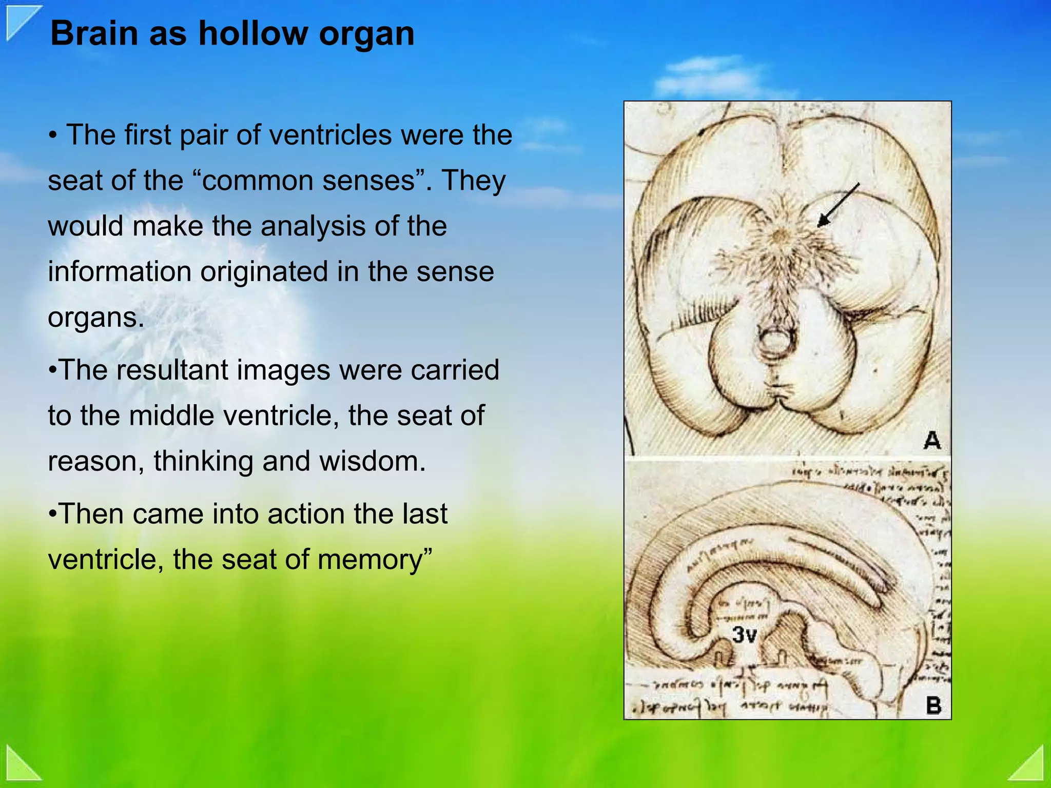 Brain as hollow organ The first pair of ventricles were the seat of the “common senses”. They would make the analysis of the information originated in the sense organs.  The resultant images were carried to the middle ventricle, the seat of reason, thinking and wisdom.  Then came into action the last ventricle, the seat of memory” 