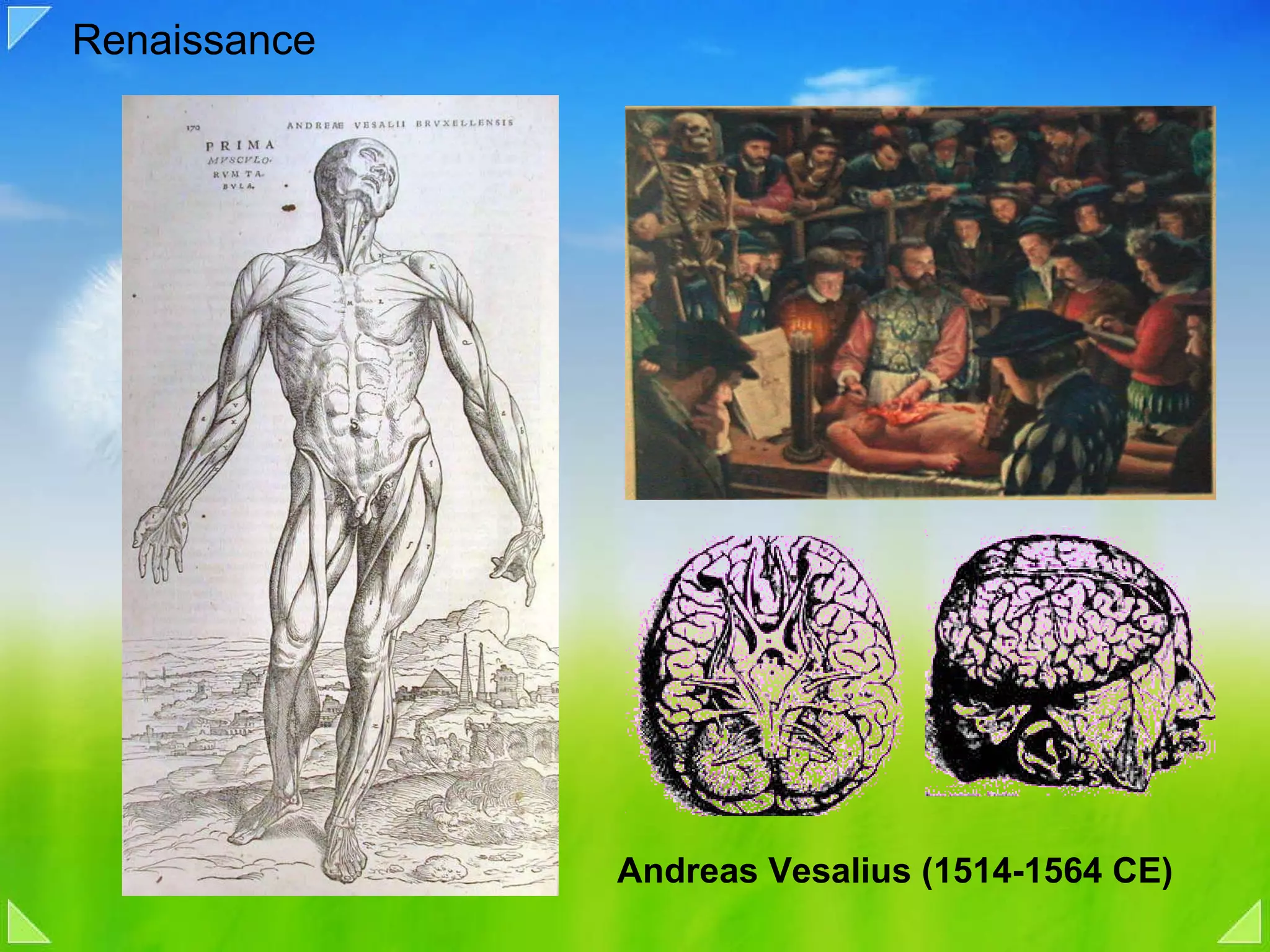 Renaissance Andreas Vesalius (1514-1564 CE) 