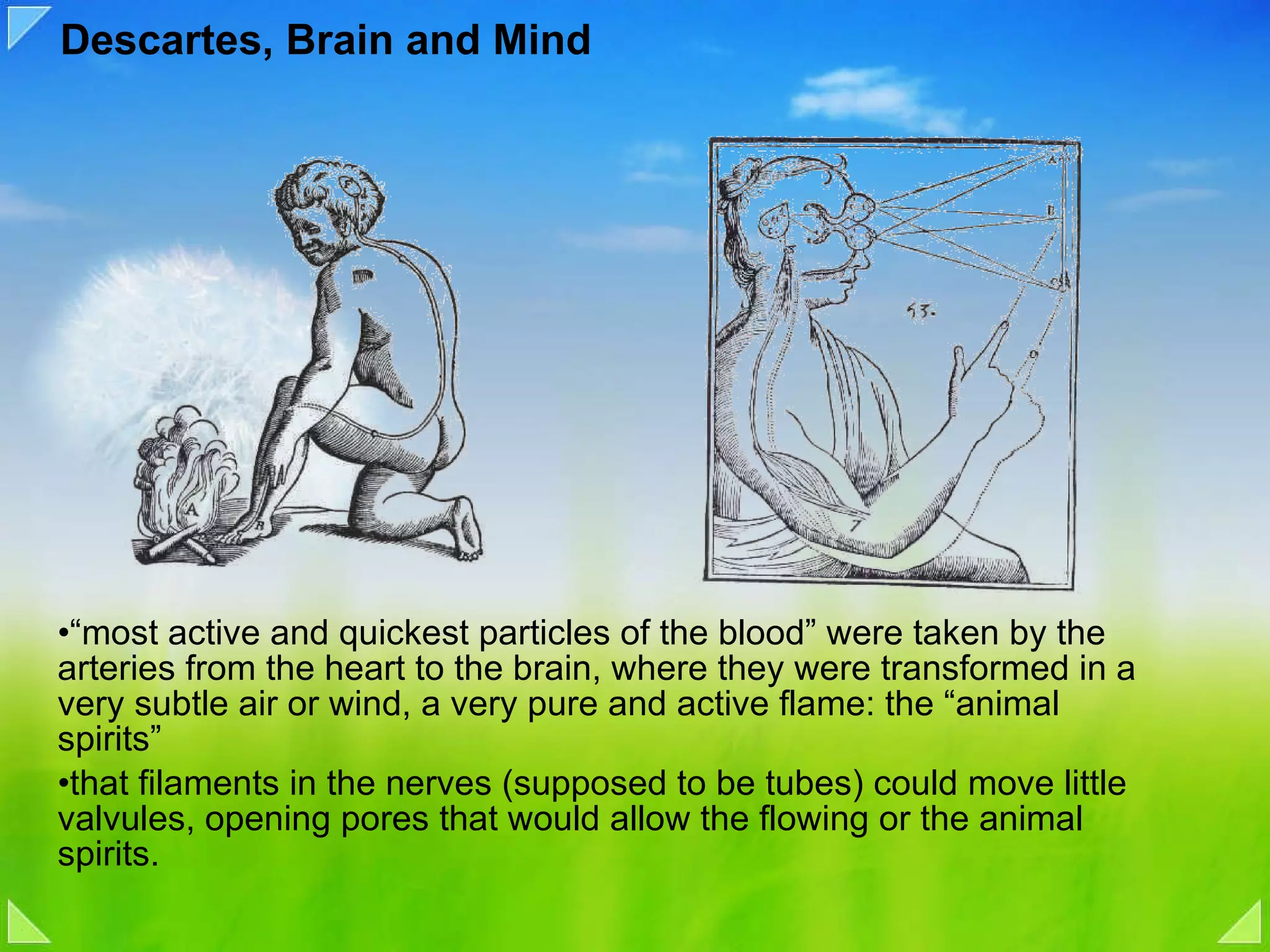 Descartes, Brain and Mind   “ most active and quickest particles of the blood” were taken by the arteries from the heart to the brain, where they were transformed in a very subtle air or wind, a very pure and active flame: the “animal spirits”   that filaments in the nerves (supposed to be tubes) could move little valvules, opening pores that would allow the flowing or the animal spirits.   