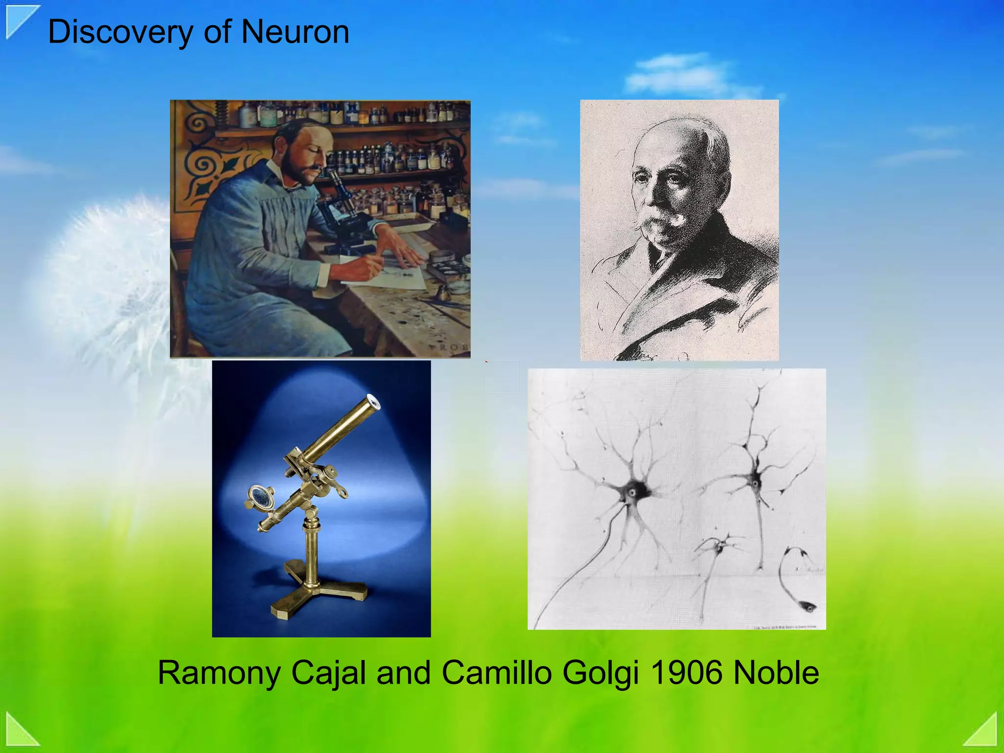 Discovery of Neuron Ramony Cajal and Camillo Golgi 1906 Noble 