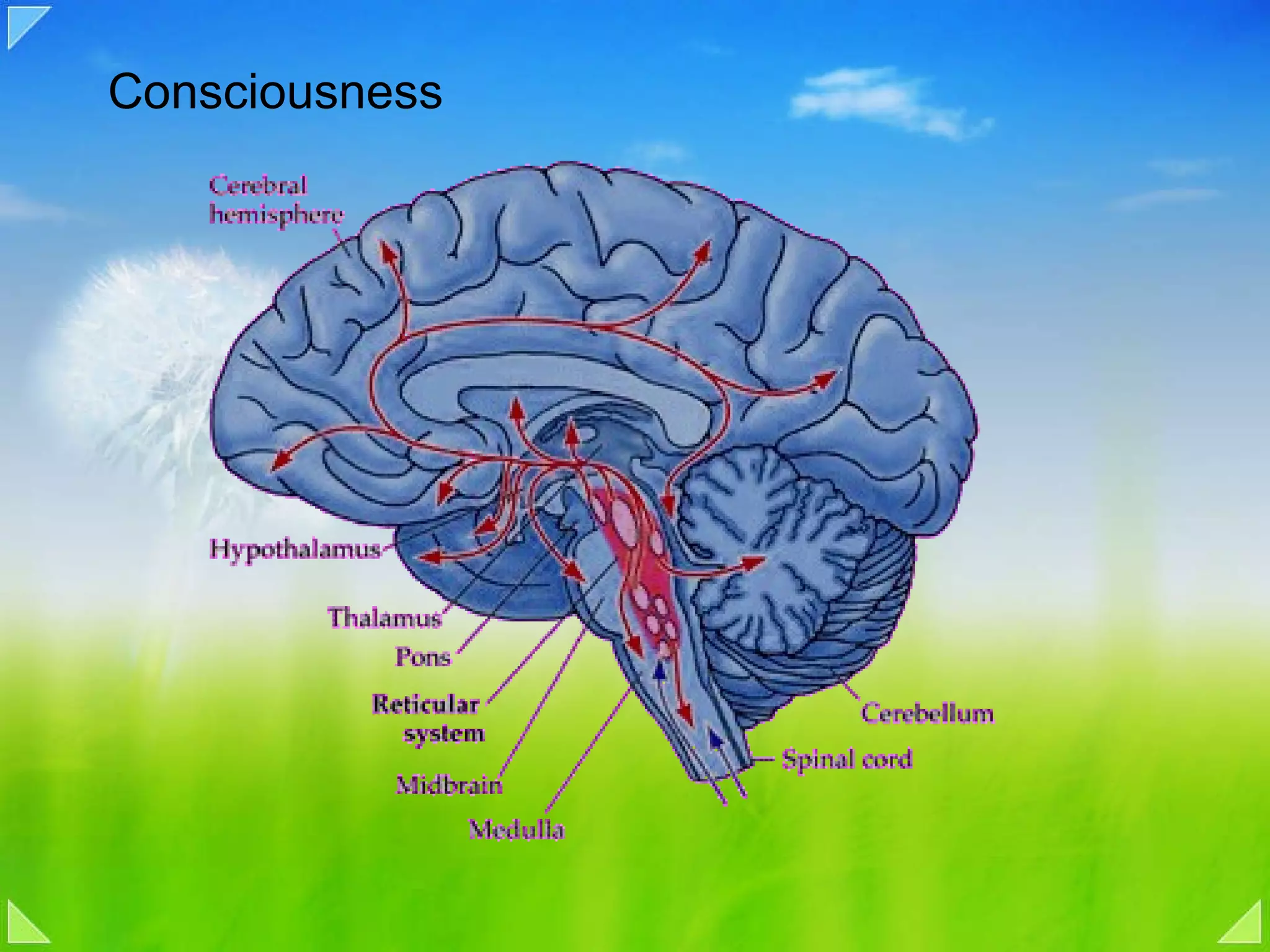 Consciousness 
