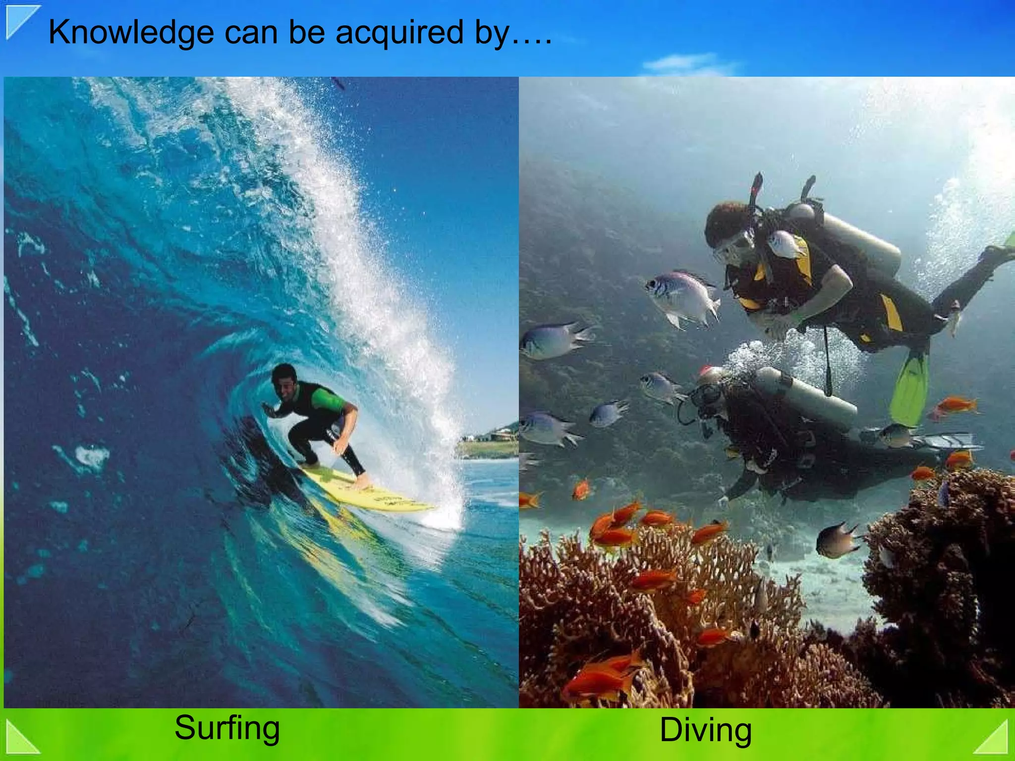 Knowledge can be acquired by…. Surfing Diving 