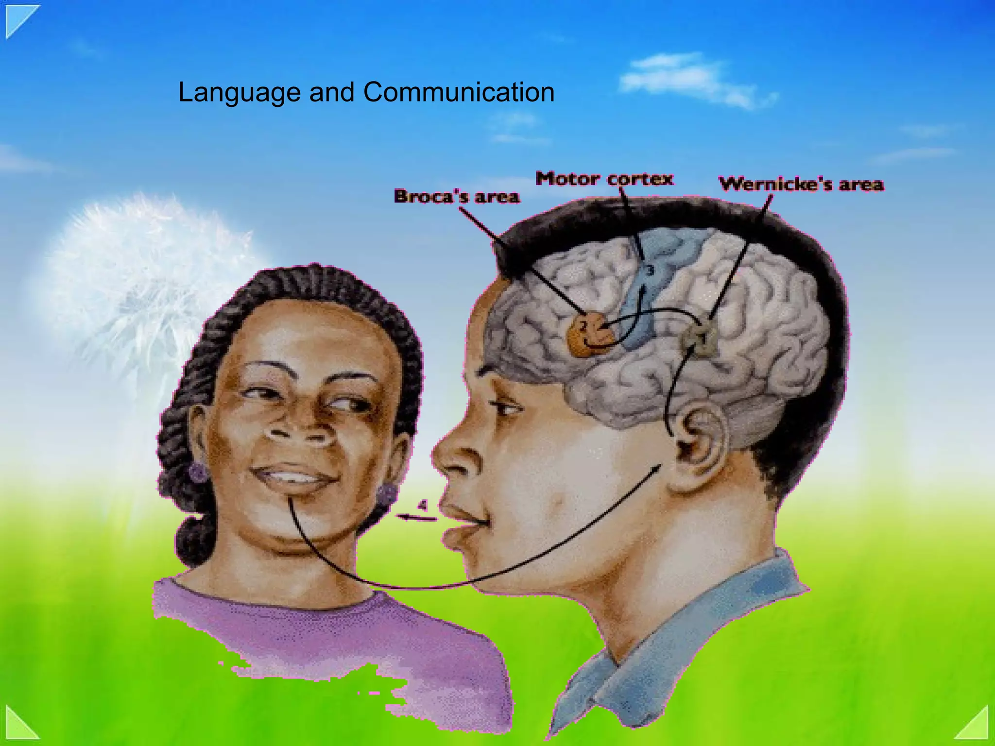 Language and Communication 